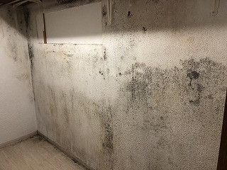 カビは収納内部にひっそりと・・・