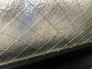 気づいてないけど実は潜むカビ！！！