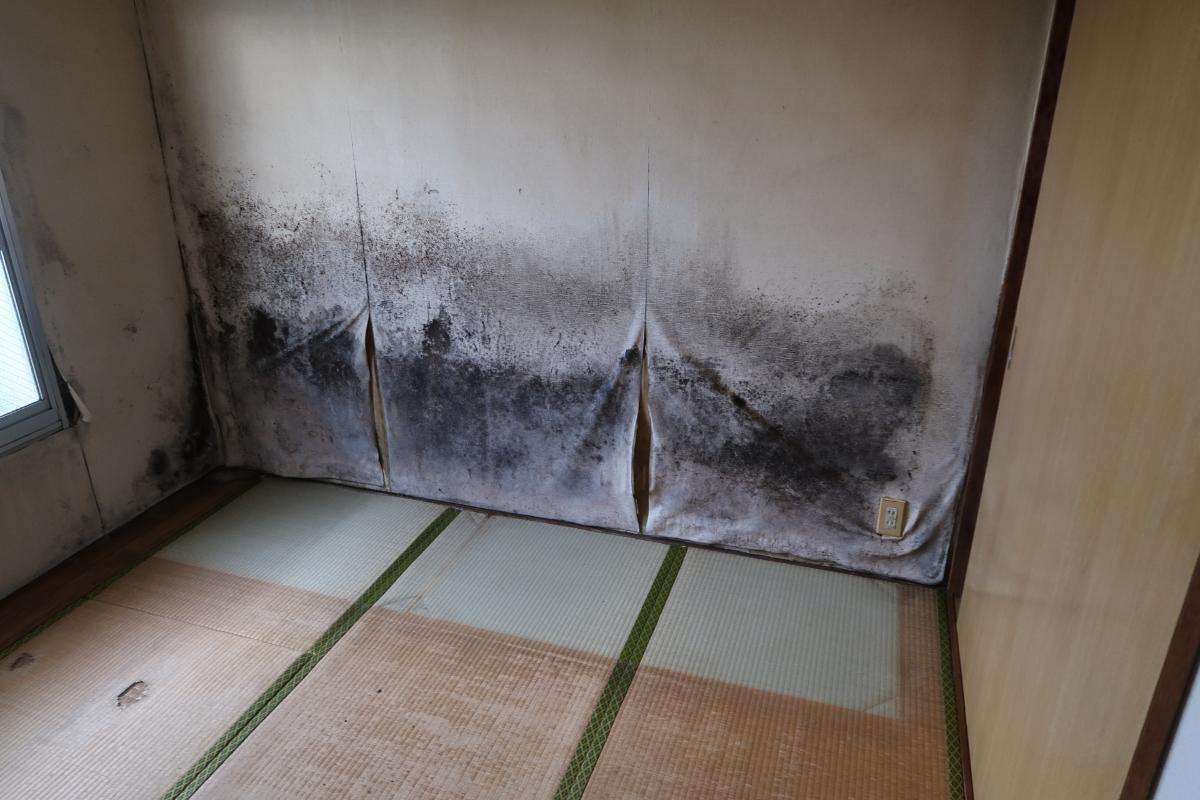 カビ取り壁紙の効果的な方法とおすすめ対策！重曹・カビ除去と自分で張替え