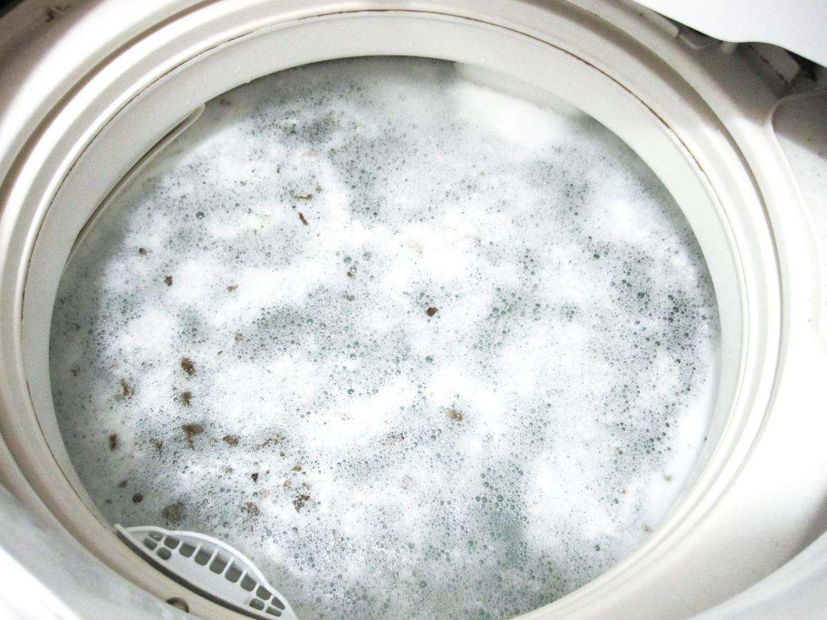 洗濯機のカビ取り！簡単ステップから対策まで