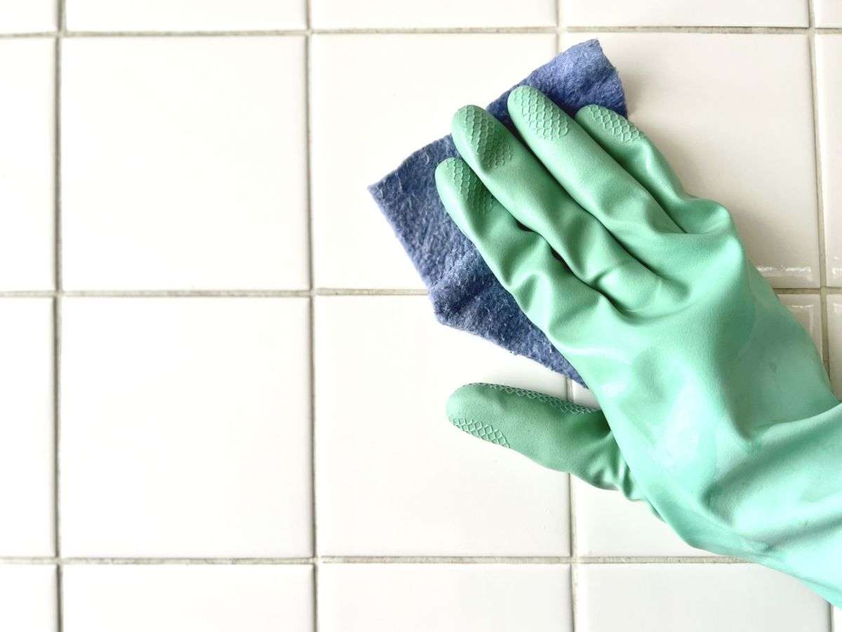 八尾市でカビ取りの基礎知識と料金相場徹底ガイド｜風呂やエアコン別対策も解説