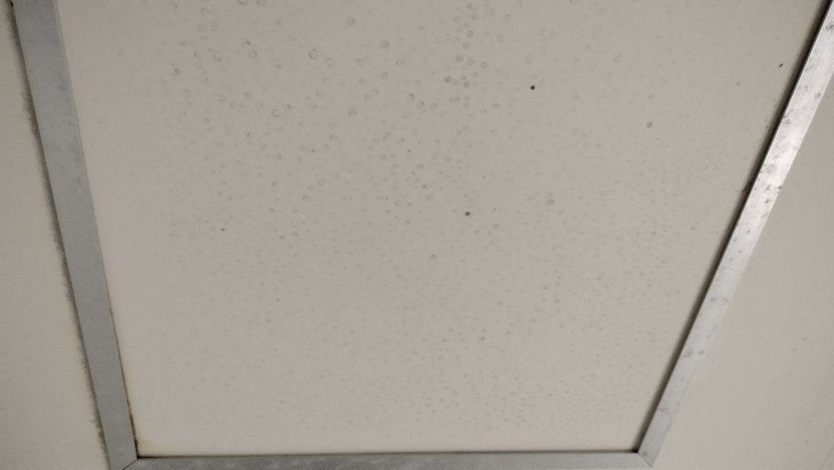 浴室の天井のカビ取りに効く方法と防カビ対策を徹底解説