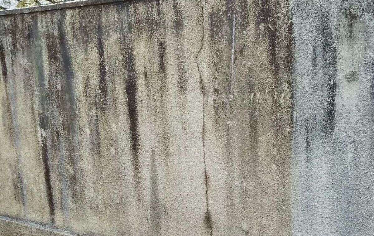 外壁のカビ取りの再発防止法！初心者でもできる効果的な除去と対策