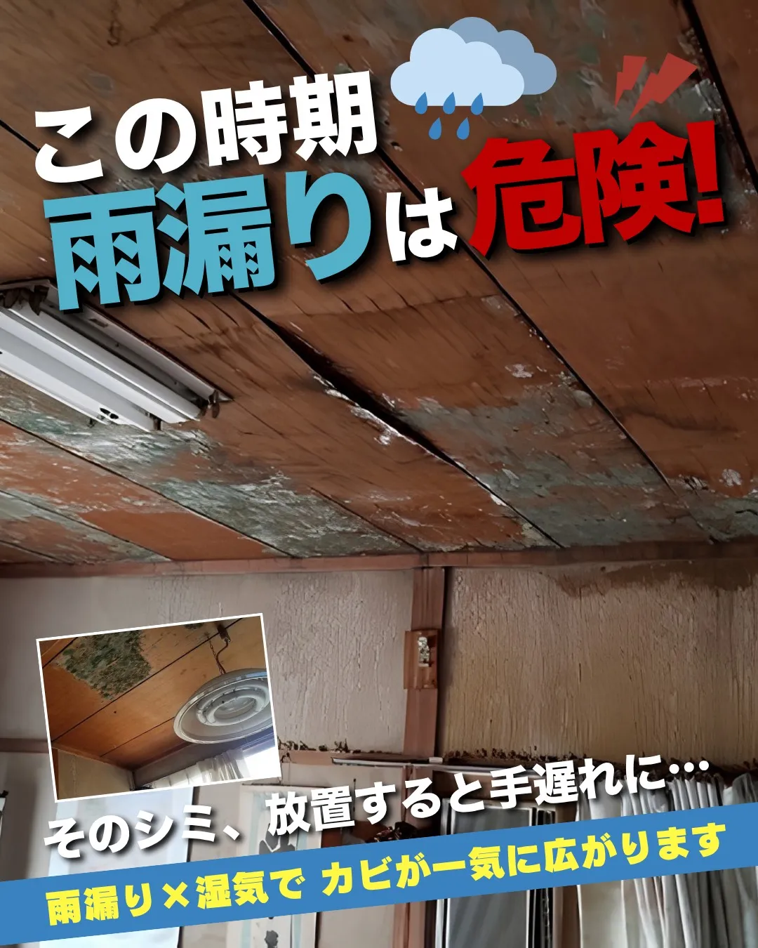 ⚠️手遅れになるかもしれません!!⚠️